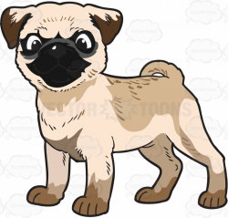 Black Pug Cliparts | Free download best Black Pug Cliparts on ...