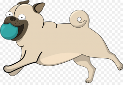 Puppy, Dog, Nose, transparent png image & clipart free download