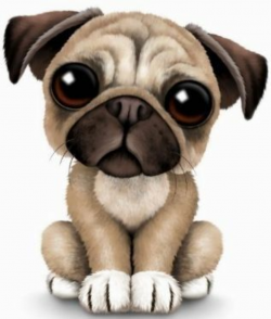 Pug Puppy | Clipart | Pugs, Cute baby pugs, Pug art