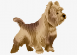 Hand-painted Realistic Puppy, Puppy Clipart, Hair, Lovely PNG ...