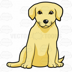 Golden Labrador Puppy Sitting Cartoon Clipart - Free Clipart