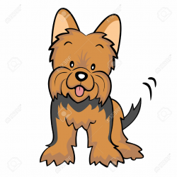 Yorkie Clipart | Free download best Yorkie Clipart on ClipArtMag.com