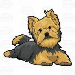 Image result for free clipart yorkie puppy | Crochet patterns ...