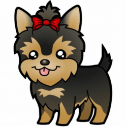 YORKIE | PAWS & CLAWS | Puppy drawing, Yorkie, Yorkie puppy