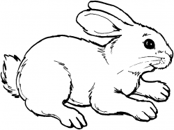 Bunny black and white rabbit clipart gif - ClipartPost