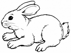 Free Cartoon Picture Of Rabbit, Download Free Clip Art, Free Clip ...