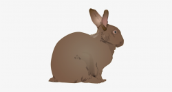 Rabbit Clipart Realistic - Rabbit Clip Art - Free Transparent PNG ...