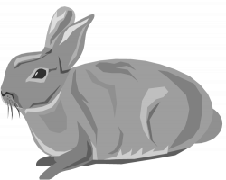 Rabbit clipart free clipart images image 4 clipartix 5 - Cliparting.com