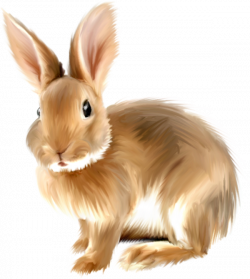 Realistic rabbit clipart - Cliparting.com