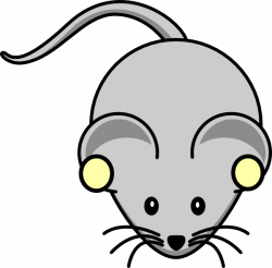 Free Rat Cliparts, Download Free Clip Art, Free Clip Art on ...