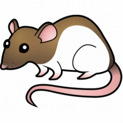 Cartoon Rats Pictures - Cliparts.co | Cartoon rat, Cartoon ...