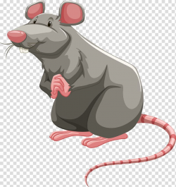 Laboratory rat Brown rat Rodent , rat cartoon transparent ...