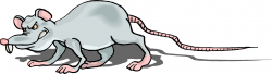 Free Rat Cartoon, Download Free Clip Art, Free Clip Art on ...