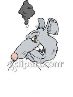 Mad Rat - Royalty Free Clipart Picture