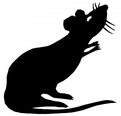 Free Black Rat Cliparts, Download Free Clip Art, Free Clip ...