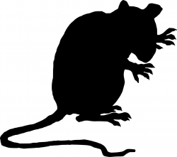 Rat Silhouette - ClipArt Best in 2019 | Rat silhouette ...