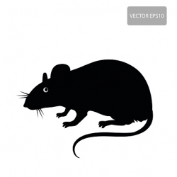 Download for free 10 PNG Rat clipart black top images at ...