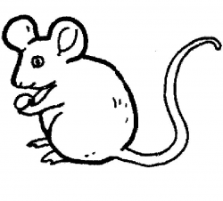 Cartoon Rat - Free| Coloring Pages for Kids - Printable ...
