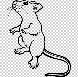 Brown Rat Mouse Coloring Book Laboratory Rat Drawing PNG ...