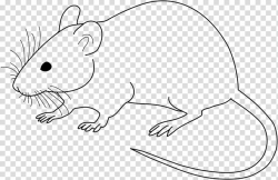 Rat drawing, Laboratory mouse Laboratory rat Drawing , mouse ...