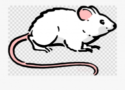 Maus, Rat, Drawing, Transparent Png Image Clipart Free ...