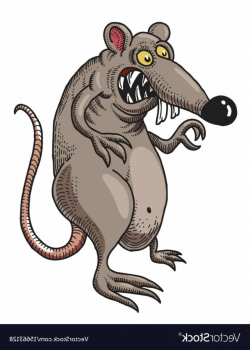 Cartoon Image Of Evil Rat Vector | CQRecords