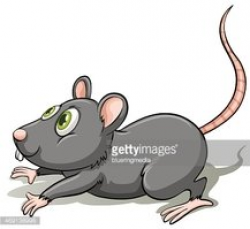 Gray Rat stock vectors - Clipart.me