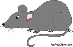 Rat clipart gray Transparent pictures on F-Scope cliparts 2019