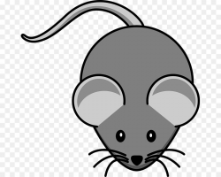 Rat Cartoon clipart - Mouse, Illustration, Face, transparent ...