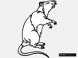 Rat Clip art, Icon and SVG - SVG Clipart