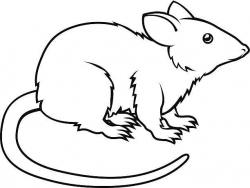 Rat clipart black and white, Rat black and white Transparent ...