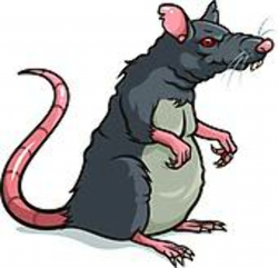 Scary rat clipart 4 » Clipart Portal