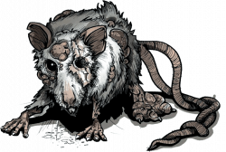 Rat clipart scary, Rat scary Transparent FREE for download ...