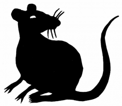 Clipart rat scary, Clipart rat scary Transparent FREE for ...
