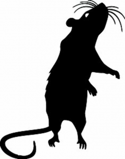 Rat clipart spooky, Rat spooky Transparent FREE for download ...
