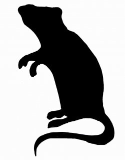 Free Rat Silhouette, Download Free Clip Art, Free Clip Art ...