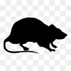 Rat Silhouette PNG and Rat Silhouette Transparent Clipart ...