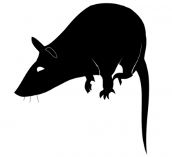 Free Rat Silhouette Vector Frees Clipart and Vector Graphics ...