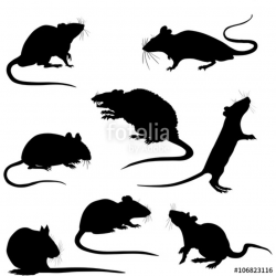 Silhouette of a rats vector clipart\