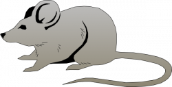 Free Rat Cliparts, Download Free Clip Art, Free Clip Art on ...