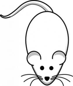Free Rat Cliparts, Download Free Clip Art, Free Clip Art on ...