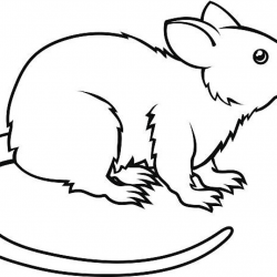 Rat clipart black and white 1 » Clipart Station