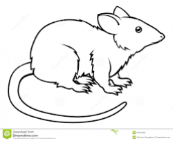 Image result for rat clipart black and white | Art, Animals ...