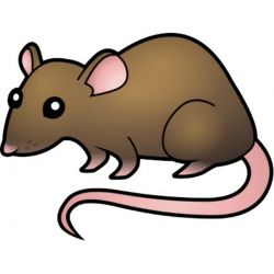 Free Rat Cliparts, Download Free Clip Art, Free Clip Art on ...