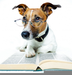 Free Clipart Dog Reading | Free Images at Clker.com - vector clip ...