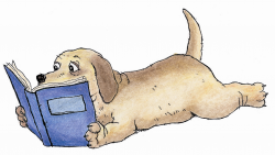 Maddie the Reading Dog – Jackson District Library