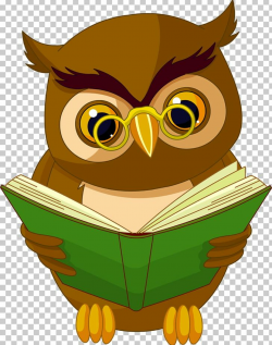 Baby Owls Book Reading PNG, Clipart, Animals, Baby, Baby Owls, Barn ...