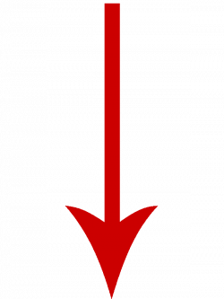 Arrow Clip art - Red Arrow Down png download - 600*800 ...