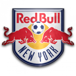 New York Red Bulls Logo PNG Transparent New York Red Bulls ...