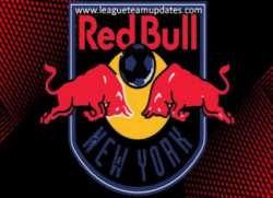 Dream League Soccer New York Red Bulls kits & logo URL Free ...